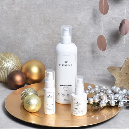 FUKUBISUI 2022クリスマスキットⅠ