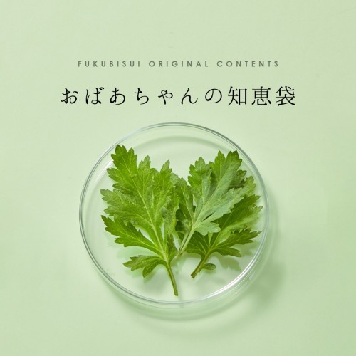 おばあちゃんの知恵袋【ヨモギ】