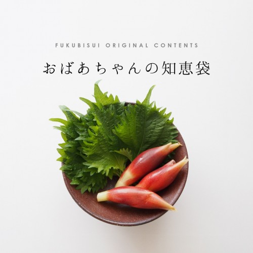 おばあちゃんの知恵袋【香味野菜】