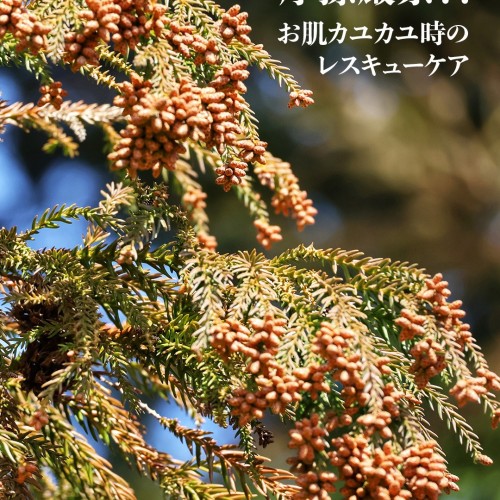 摩擦厳禁！ お肌カユカユ時のレスキューケア