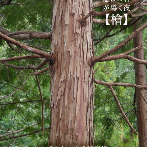 おばあちゃんの知恵袋【檜】