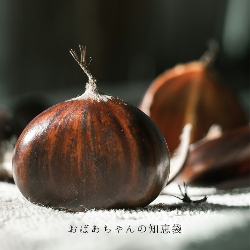 おばあちゃんの知恵袋【栗】