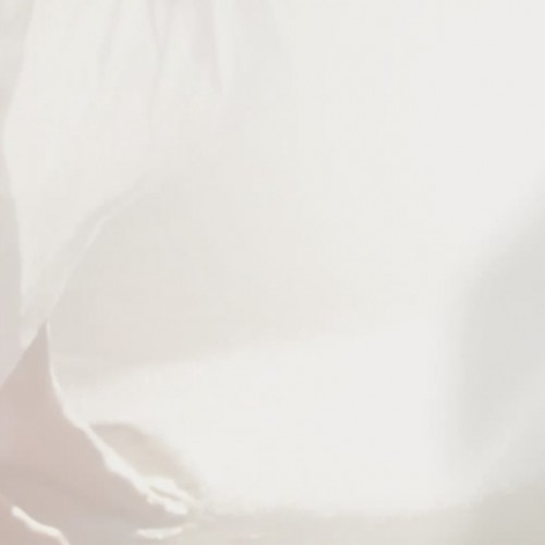 新発売のエッセンスミルク＋（プラス）。