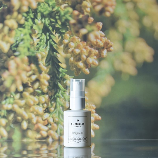 今年も花粉の季節がやってきます。