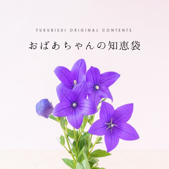 おばあちゃんの知恵袋【秋の七草】