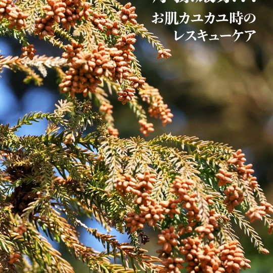 摩擦厳禁！ お肌カユカユ時のレスキューケア