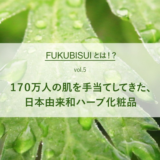 FUKUBISUIとは!? vol.5