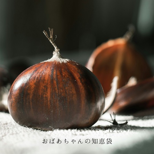 おばあちゃんの知恵袋【栗】