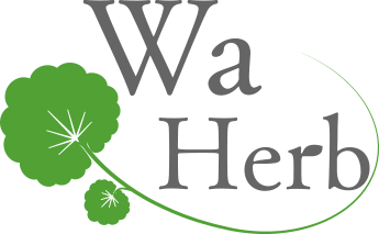 一般社団法人和ハーブ協会